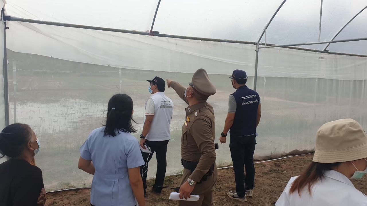 sakaeo farm