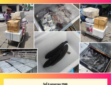 กลุ่มงานคุ้มครองผู้บริโภคและเภสัชสาธารณสุข