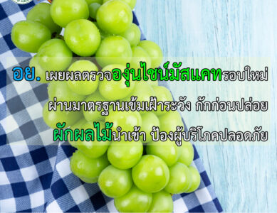 ตรวจวิเคราะห์หาสารฆ่าแมลงตกค้าง องุ่นไชน์มัสแคท