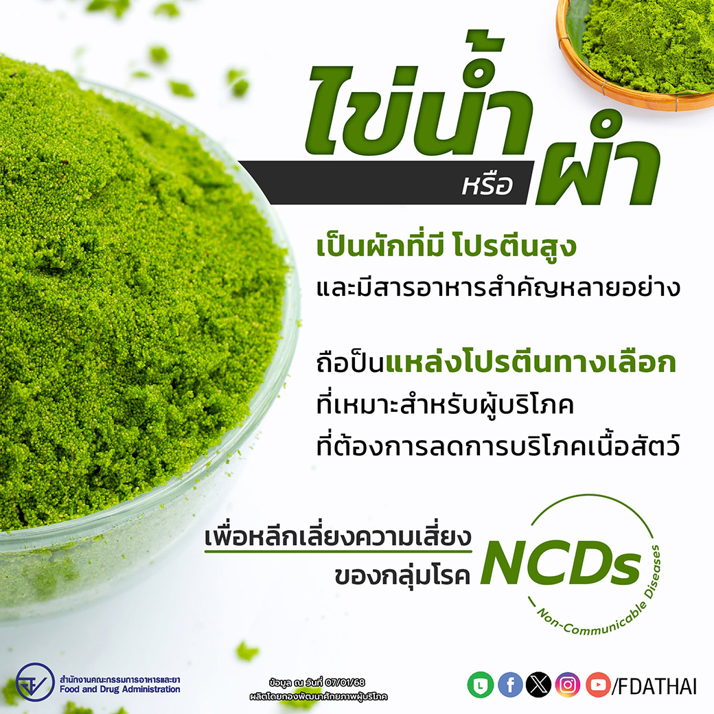 ไข่น้ำหรือผำ