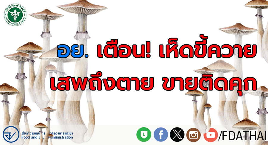 อย. เตือน “เห็ดขี้ควาย” จัดเป็นพืชเสพติดให้โทษ