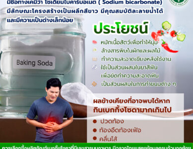 30 ธันวาคม ของทุกปี เป็นวันเบกกิ้งโซดา (Bicarbonate of Soda Day)